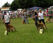 Clubmatch-2003-DKBS-Neulusheim